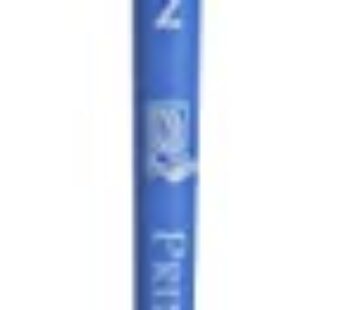 Princeton Artist Brush Select Synthetic Brush Bristle Fan Size 2