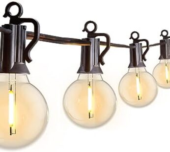 Outdoor String Lights 25 Feet G40 Globe LED Patio Lights with 13 Edison Plastic Bulbs(1 Sp