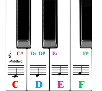QMG Piano Stickers for 61-Key Keyboard, Bright Colorful Stickers, Perfect Visual Tool for