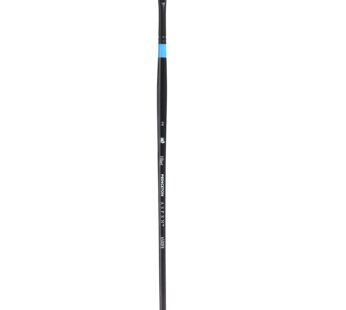Princeton Aspen Paintbrush, Size 2, Black