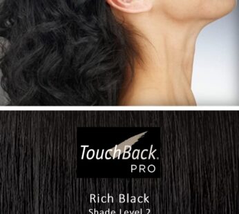TouchBack PRO Gray Root Touch Up Marker Applicator – Real Hair Color Rich Black