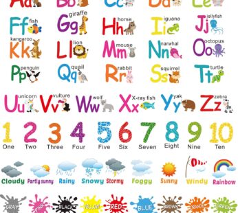 6 Sheets Alphabet Number Color Weather Learning Educational Wall Decals Peel and Stick Alp
