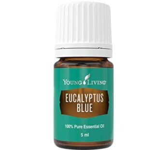 Young Living Eucalyptus Blue Premium Essential Oil Diffuser – 100% Pure, Cool & Refreshing Scent – Aromatherapy for Relaxation and Muscle Relief – 5ml Bottle