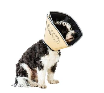 All Four Paws Comfy Cone Pet Cone for Dogs, Cats, Medium, Tan – Comfortable Soft Dog Cone Collar Alternative for After Surgery, Wound Care, Spay, Neuter – Dog and Cat Recovery Collar